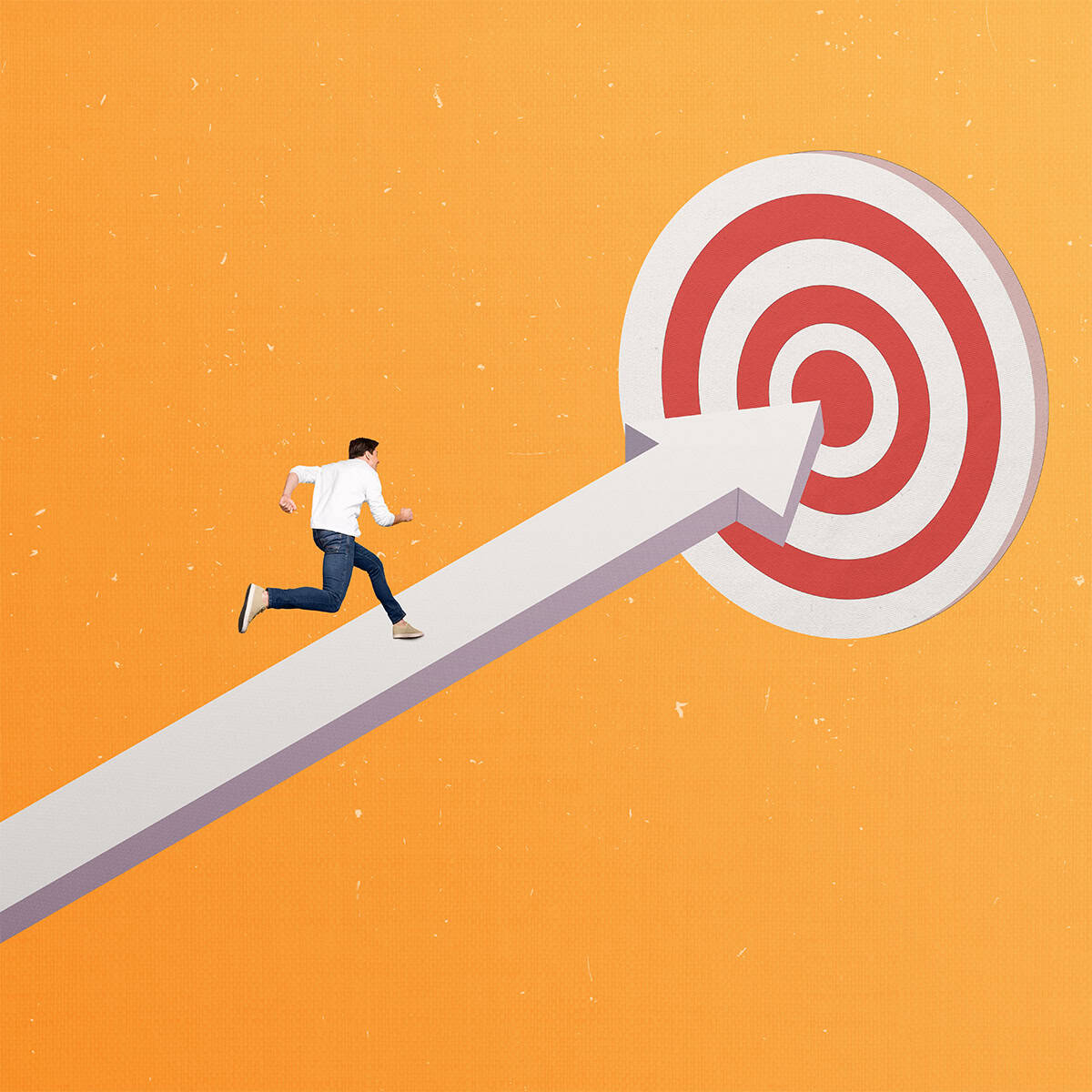 The Job Coach Accelerator™